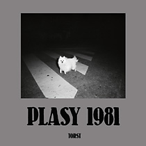 Plasy 1981