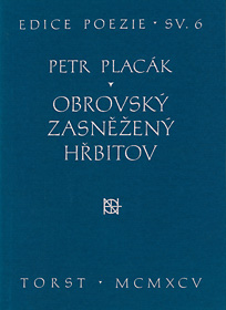 Obrovský zasněžený hřbitov