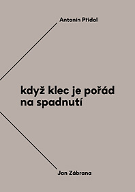 Když klec je pořád na spadnutí. Vzájemná korespondence Antonína Přidala a Jana Zábrany z let 1963–1984